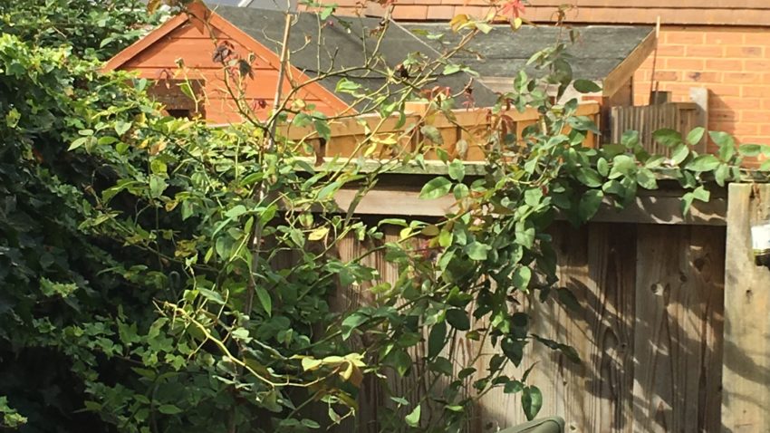 six feet up and six feet over