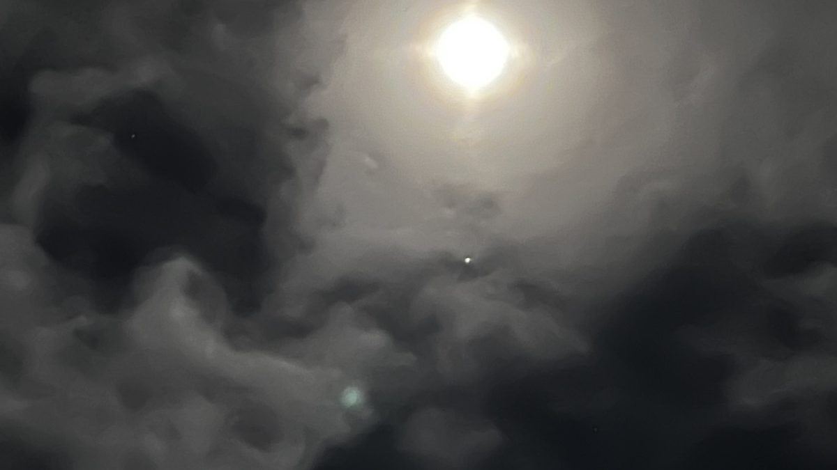 Photo of the Day: January 30th, 2026