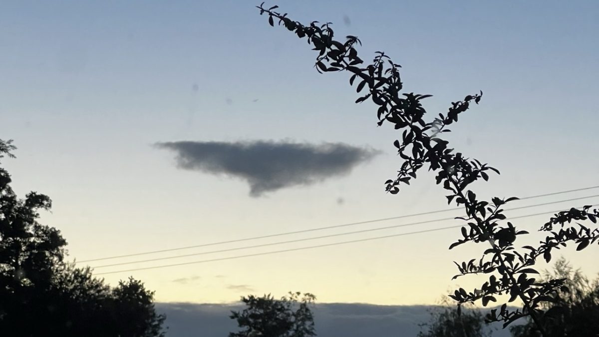 Photo of the day: August 19th, 2026